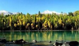 喀纳斯湖最新爆料新闻,探寻千古之谜的真相揭晓